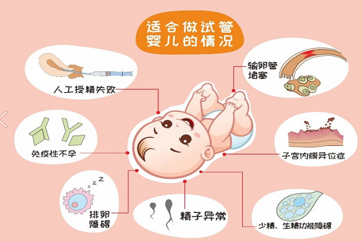 泰國試管嬰兒有名的，泰國試管最好的醫院是哪家-第2張-試管嬰兒百科-欣悅國際